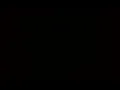 Aspca Give Tuesday Tv Commercial