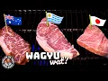 Download Lagu WAGYU smaaktest!
