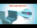 FRAM TrueAir Premium Cabin Air Filter