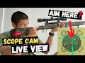 How To Bore Sight A Rifle At Home Save Ammo At The Range 10 Yard Bore Sight For 100 Yards