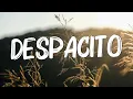 Download Lagu Despacito - Luis Fonsi (Lyrics)  Sia ,Unstoppable, David Guetta (MixLyrics)