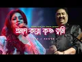 Lagu Proman koro krishna tumi LoFi Song ।। Kumar Sanu and Shreya Ghoshal ।। Ss Music Studio
