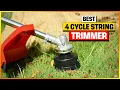 Don t Buy a 4-Cycle Weed Eater Until You Watch This