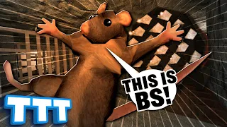 This video has exactly Zero BS | Gmod TTT