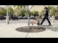 UNM Healthy Living Health Care Access Disability