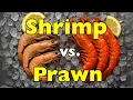 Shrimp vs Prawns What s the Difference