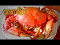 GIANT CRAB