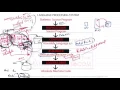 02 Language processing System