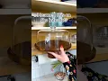 Space saving cake stand storage