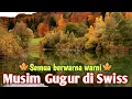 Download Lagu Musim Gugur di Swiss / Musim Gugur di Switzerland