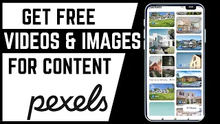How To Download Free Stock s And Images For Content Creation Pexels