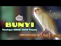 Download Lagu KENARI GACOR !!! Suara PANCINGAN KENARI PAUD Belajar BUNYI Ngeriwik - MASTERAN Kenari PAUD
