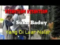 Lagu Gokil..! KESAKTIAN KESAKTIAN SUKU BADUY yang di luar nalar