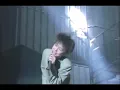 UNICORN / 大迷惑