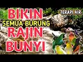 Lagu SANGAT AMPUH‼️ Suara Gemercik Air Alami - Terapi Burung Macet Jadi Rajin Bunyi dan Makin Gacor