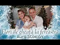 Lagu Aura Stoican - Flori de gheață la fereastră