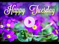 Happy Tuesday Wishes Beautiful Morning Blessings to Brighten Your Day