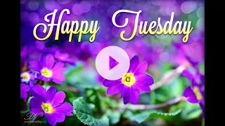 Happy Tuesday Wishes Beautiful Morning Blessings to Brighten Your Day