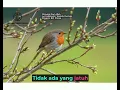 Download Lagu Dimulai Dari Allah