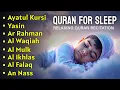 Quran Recitation in a Soothing voice I Alfatiha Ayatul Al Kursi,Yasin ,Arrahman ,AlWaqiah- Alaa Aqel