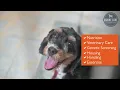 Petland Racine Proudly Supports Canine Care Certified Breeders 30sH
