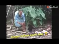 Download Lagu Story wa lucu ngakak abis,mau ketawa takut dosa #shorts #ngakak #woko #wokochannel