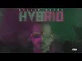 Collie Buddz - Love is LIfe (Official Lyric Video)