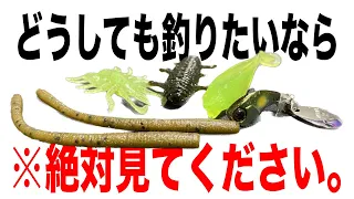 絶対にボウズだけは避けたい方は必ず見てください。投げれば釣れるやつ教えます。