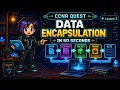 Data Encapsulation