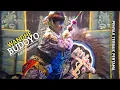 Download Lagu PENYAJI TERBAIK PERTAMA🏆WANDHE BUDOYO ● Festival Jaranan Senterewe Klasik Tulungagung 2025