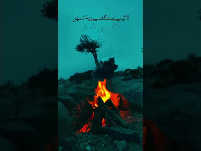 ⁣عباس عجيد 🙇‍♂️🖤