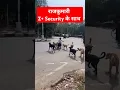 rajkumari  Z+ security के साथ girl viral video with his dog #viralvideo #shorts #dog #dogs #shorts