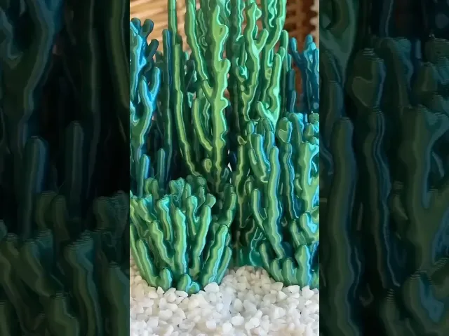 Hex Based Coral video thumbnail
