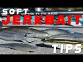Soft Jerkbait Tricks You Need To Try Beginner To Advanced