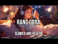 RANG GORA (slowed and reverb) rang gora ||akhil || Punjabi song