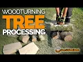 Tree Processing Woodturning -
