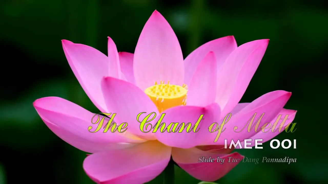 Metta Bhavana - Metta chanting Metta Bhavana - Metta chanting