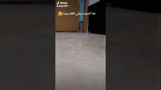 جرب هذا الصوت يخلي القط يجي لعندك 