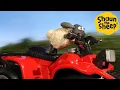 Download Lagu Shaun the Sheep 🐑 Timmy can drive? - Cartoons for Kids 🐑 Full Episodes Compilation [1 hour]