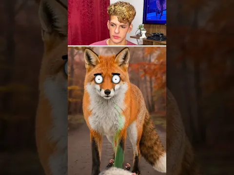 Animais com HABILIDADES INCRÍVEIS!!!