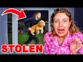 Download Lagu Creepy Stranger STOLE My Dog?!