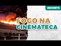 Lagu FOGO NA CINEMATECA - EDUARDO BUENO #SHORTS