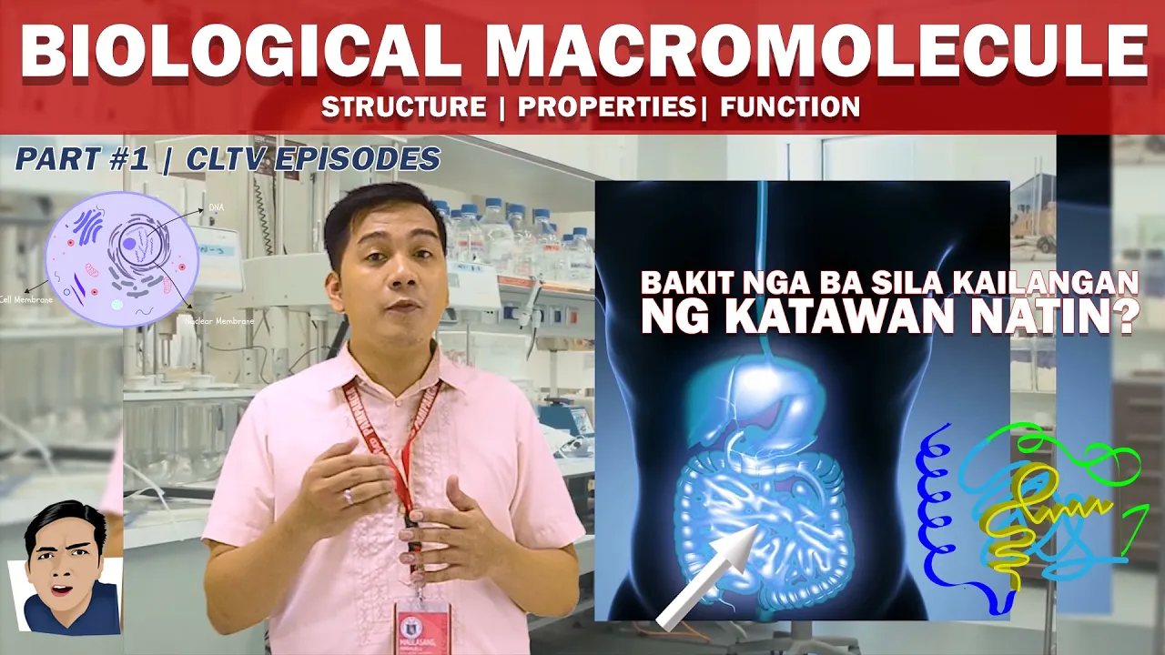 Ano nga ba ang mga Biological Macromolecule at bakit sila kailangan ng ating katawan? | Part 1