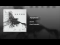Apophenia - Seven
