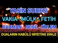 Download Lagu Yasin Suresi - Vakıa Suresi - Mülk Suresi - Fetih Suresi - Rahman - Nebe Suresi Ve Kalem Suresi🤲🏻
