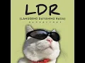 Langgeng Dayaning Rasa "LDR"