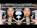 Download Lagu DJ SUDAH PUNYA KEKASIH SELAIN AKU || DJ MALU MALU DONG KAMU KETAHUAN BOONG VIRAL TIKTOK TERBARU 2025