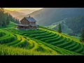 Download Lagu Calming Music Restores the Nervous System 🌿 Stop Overthinking, Stress Relief, Sleep, Heal