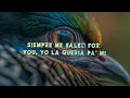 Rels B - TU VAS SIN (fav) (Lyrics/Letra)