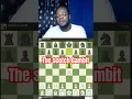 The scotch gambit -#chess #chesscom #chessgame #chessboard